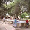 Отель Vilanova Park - Caravan Park, фото 25