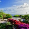 Отель Caribbean Oasis With Tropical Garden & Pool, фото 3