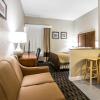 Отель Comfort Inn and Suites Greenville, фото 17