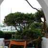 Отель Porto Cervo House, фото 6