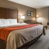 Отель Comfort Inn Latham - Albany North, фото 16