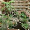 Отель Embassy Suites by Hilton San Rafael Marin County, фото 13