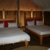 Отель Roika Tarangire Tented Lodge, фото 7