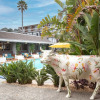 Отель Carmel Mission Inn, фото 41