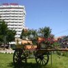 Отель Decebal, фото 18