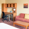 Отель Towneplace Suites By Marriott Detroit Novi, фото 2