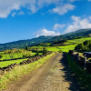 Отель Quinta Pereirinha Farmstay - Mount Pico, Azores, фото 15