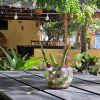 Отель Tulia House - Hostel, фото 32