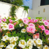 Отель B&B Sole Mare Vento, фото 12