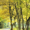 Отель Park, фото 18