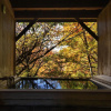Отель Tateshina Shinyu Onsen, фото 30