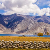 Отель Tsomoriri Camp And Resort, фото 7