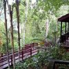 Отель Belize Botanic Gardens' Cottages and Jungle Guest House в Сан-Игнасио