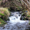 Отель Sound of Durnamuck, фото 30