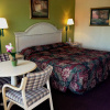 Отель Holiday Terrace Inn - Pigeon Forge, фото 2