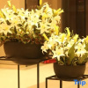Отель Home Inn Plus (Xi'an Yongxingfang Chaoyangmen Metro Station), фото 12