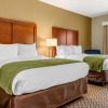 Отель Comfort Inn & Suites, фото 34