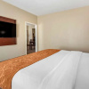 Отель Comfort Suites Auburn, фото 6