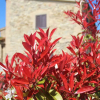 Отель Casale La Collina, фото 8