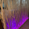 Отель Eva Suite VIP Excellent Studio 1, фото 14
