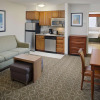 Отель Homewood Suites by Hilton San Antonio Riverwalk/Downtown, фото 4