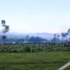 Отель 外南梦阿拉比卡酒店(Arabica Hotel Banyuwangi), фото 4