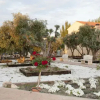 Отель Aparthotel Las Olivas, фото 7