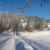 Отель Naturbaude Eschenhof в Обервизентали