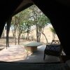 Отель Warthogs Safari Camp, фото 17