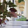Отель Remarkable 10-bed Cottages in Bagamoyo, фото 3