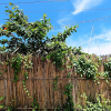 Отель Woodside Rogers Residence, фото 24