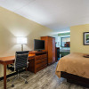 Отель Quality Inn Airport - Southeast, фото 3