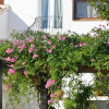 Отель Casa Rosalia 25, фото 1