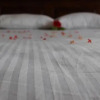 Отель Summer Breeze Guest House, фото 5