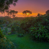 Отель Gingerhill Farm Retreat, фото 12