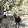 Отель Ermita de Gredos Casas Rurales Artesano I y II/III, фото 20