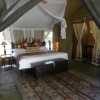 Отель Mara Crossing Camp, фото 5