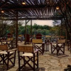 Отель Mara Bush Camp - Private wing, фото 19