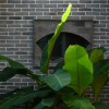 Отель Cangshanerhai Residence Inn, фото 7