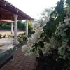 Отель Bougainvillea Homestay, фото 27