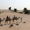 Отель Al Marmoom Oasis 