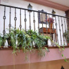 Отель Hostal Toribio, фото 1
