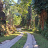 Отель Recanto da Floresta, фото 11