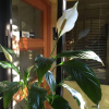 Отель Hostal Del Turista, фото 13