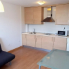 Отель Apartamento S Nevada 3000 Fuente Tesoro, фото 1