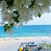 Отель Blue Anchor Lodge & Cafe-Binh Ba Island, фото 22