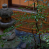 Отель Kyoto Machiya Sanjojuku, фото 19