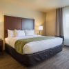 Отель Comfort Inn Bentonville - Crystal Bridges, фото 4