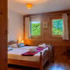 Отель Chalet Rêves des Alpes, фото 24