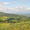 Отель La Stalla, фото 20